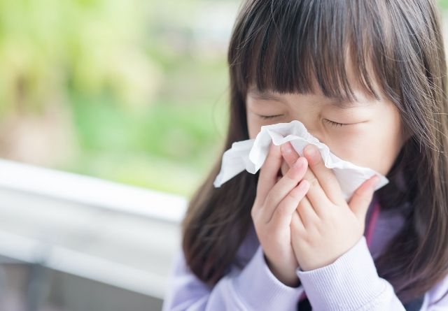 El virus del resfriado echa raíces en tu nariz.