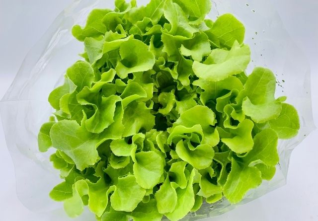 Las verduras de hojas verdes ayudan a la producción de colágeno. 