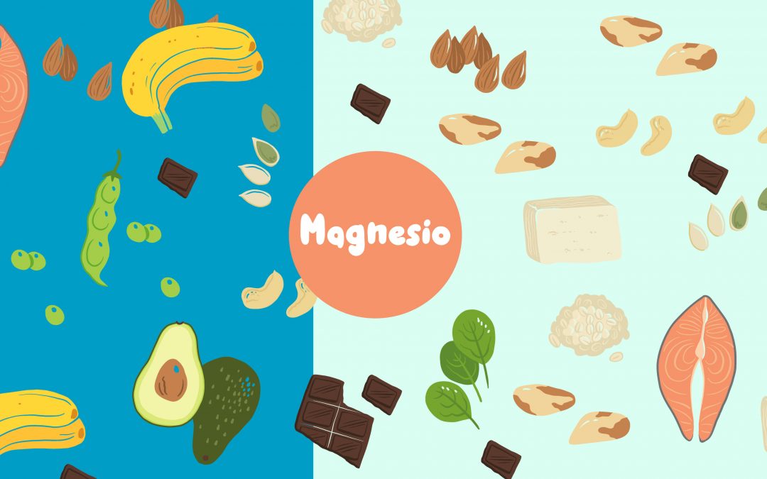 El magnesio en el organismo